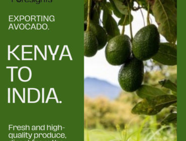 Export Avocado from Kenya to India, Availability of Avocado in India