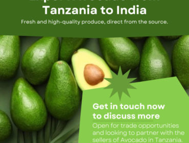 Export Avocado from Tanzania to India