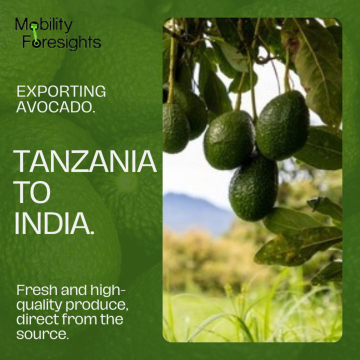 Export Avocado from Tanzania to India