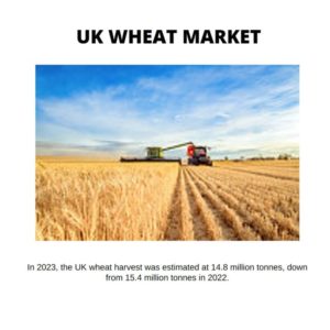 Infographics: UK Wheat Market , UK Wheat Market Size, UK Wheat Market Trend, UK Wheat Market ForeCast, UK Wheat Market Risks, UK Wheat Market Report, UK Wheat Market Share 