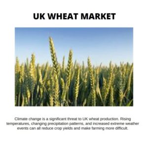 Infographics: UK Wheat Market , UK Wheat Market Size, UK Wheat Market Trend, UK Wheat Market ForeCast, UK Wheat Market Risks, UK Wheat Market Report, UK Wheat Market Share 