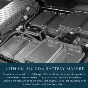 Lithium Silicon Battery Market share