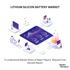 Lithium Silicon Battery Market size