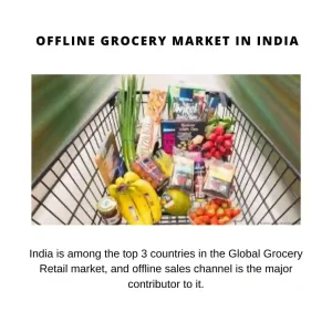 India offline grocery market