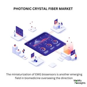 Photonic-Crystal Fiber Market Size