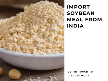 Import Soybean Meal From India