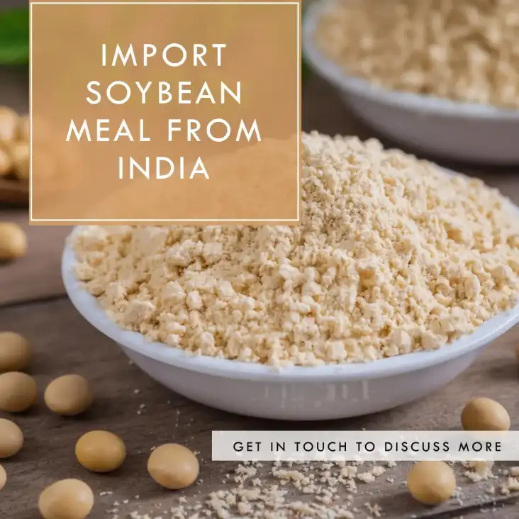 Import Soybean Meal From India