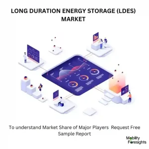 LONG DURATION ENERGY STORAGE (LDES) MARKET