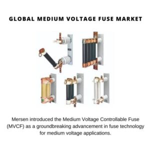 Medium Voltage Fuse Market Share