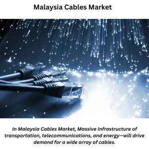 Malaysia Cables Market Share