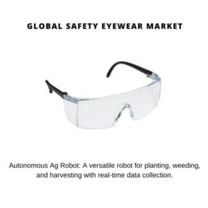 Safety Eyewear Market Share