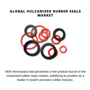 Vulcanized Rubber Seals Market Share