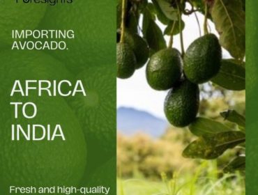 Import Avocado from Africa to India