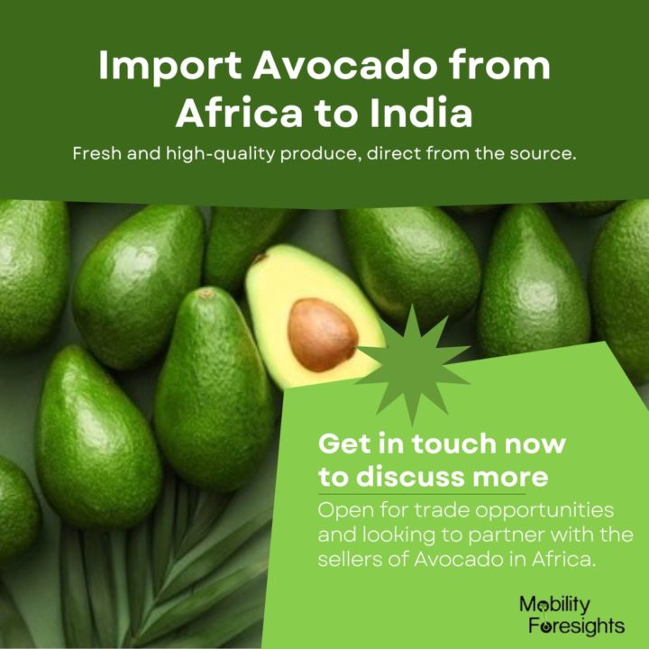 Importing Avocado from Africa to India